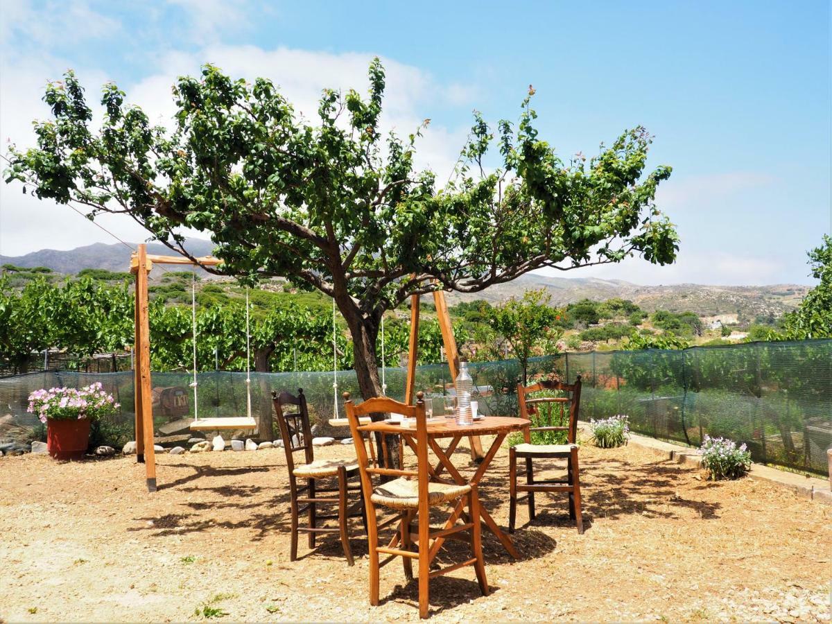 Traditional Cretan Villa Rodhopos Luaran gambar